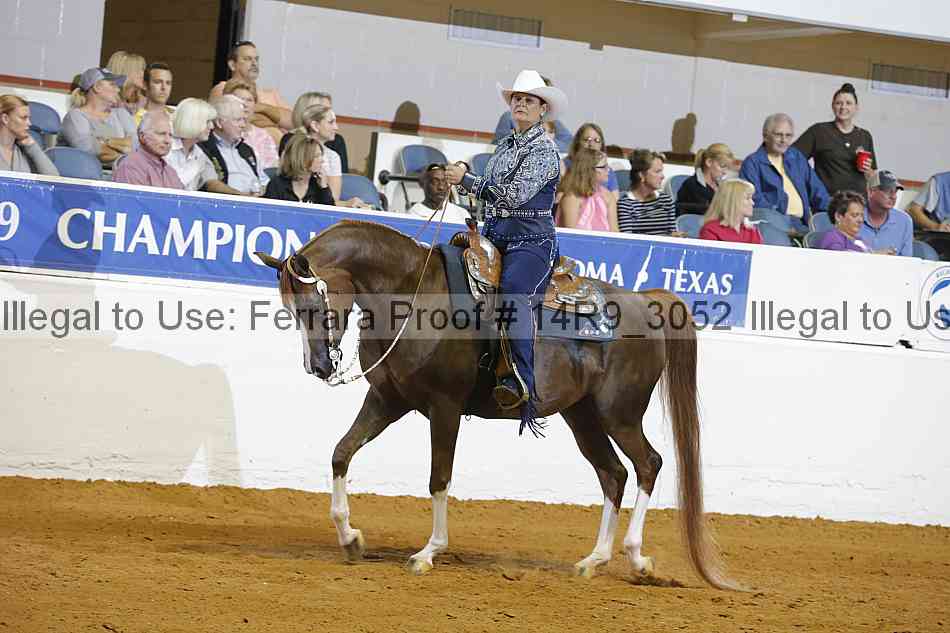 Proof 14r9_3052