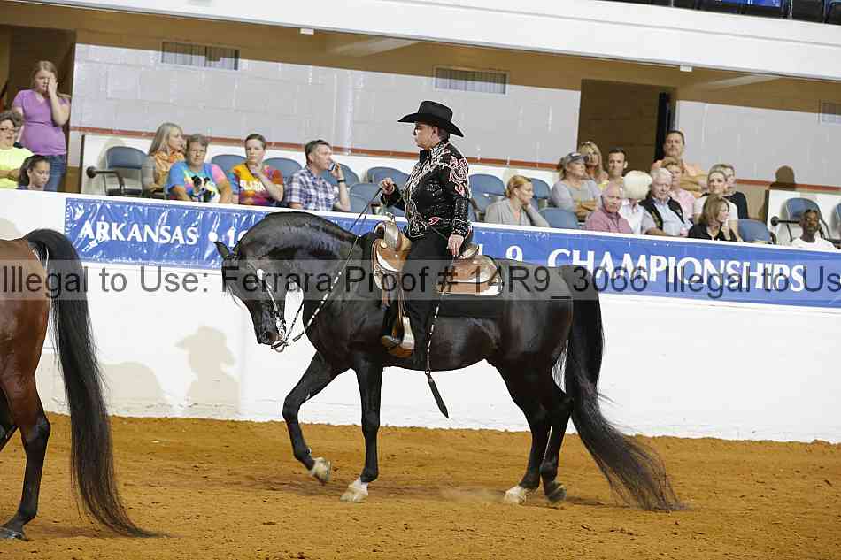 Proof 14r9_3066