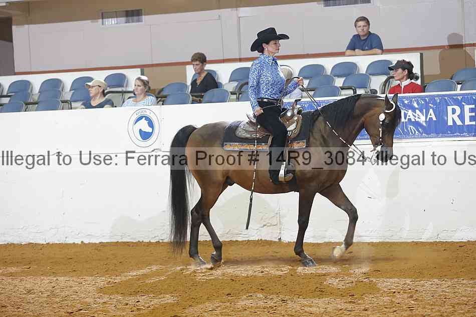 Proof 14r9_3084
