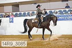 14r9_3085 proof