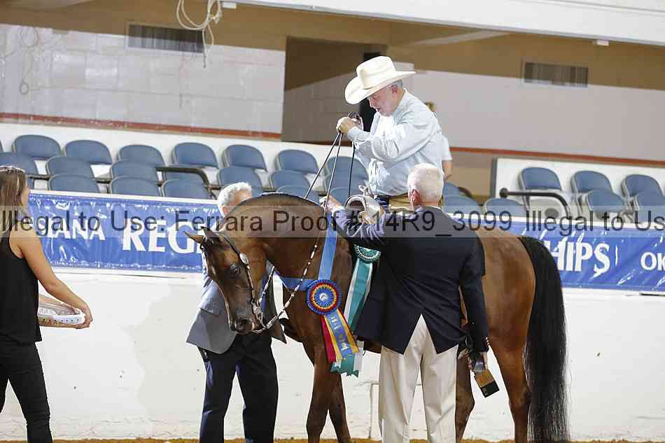 Proof 14r9_3099