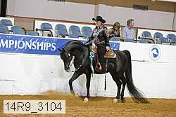 14r9_3104 proof
