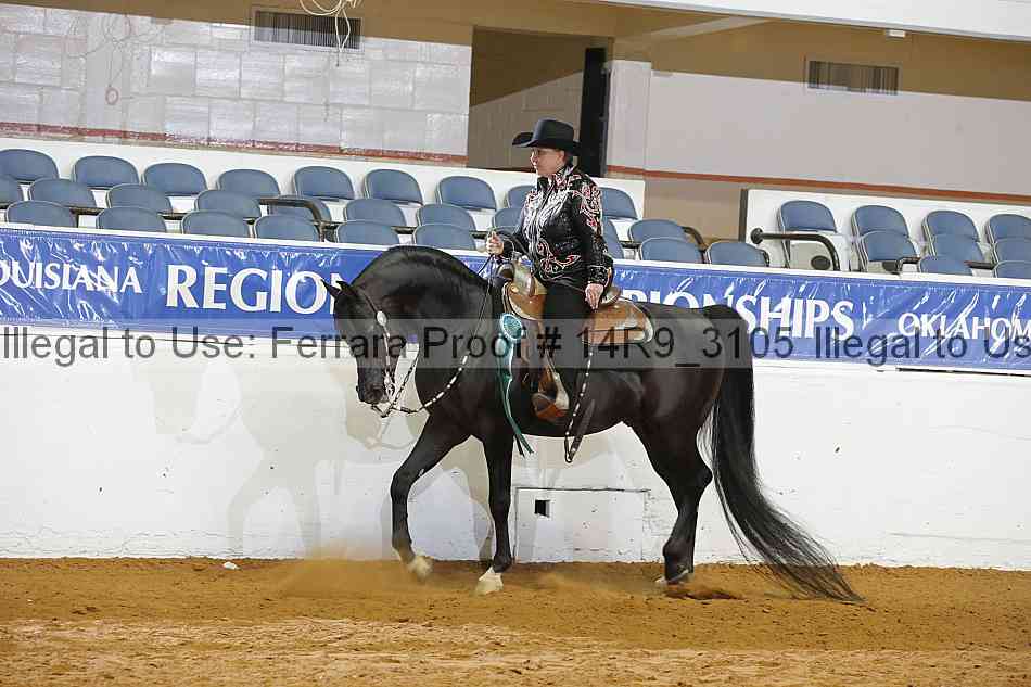 Proof 14r9_3105
