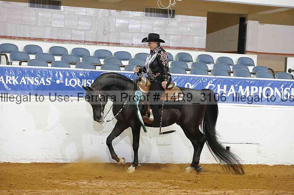 Proof 14r9_3106