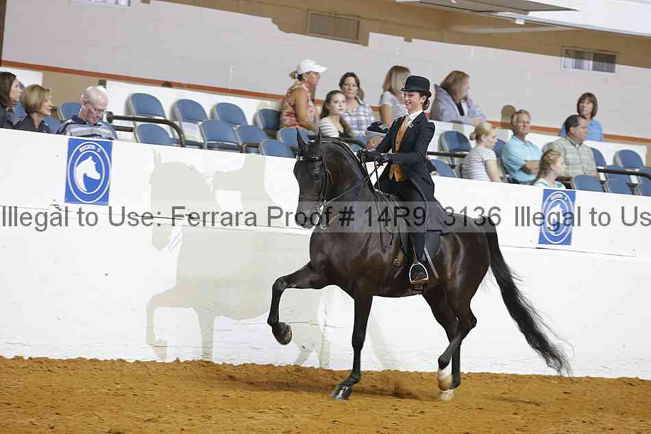 Proof 14r9_3136