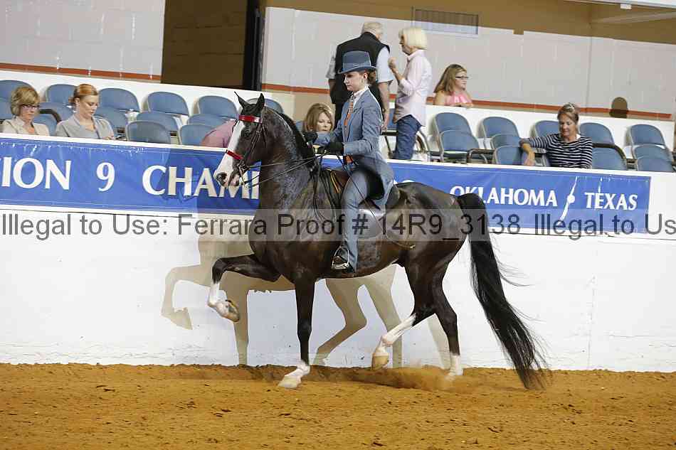 Proof 14r9_3138