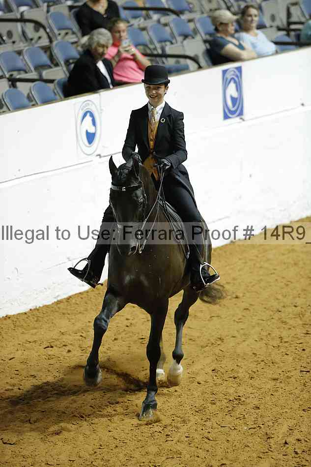 Proof 14r9_3139