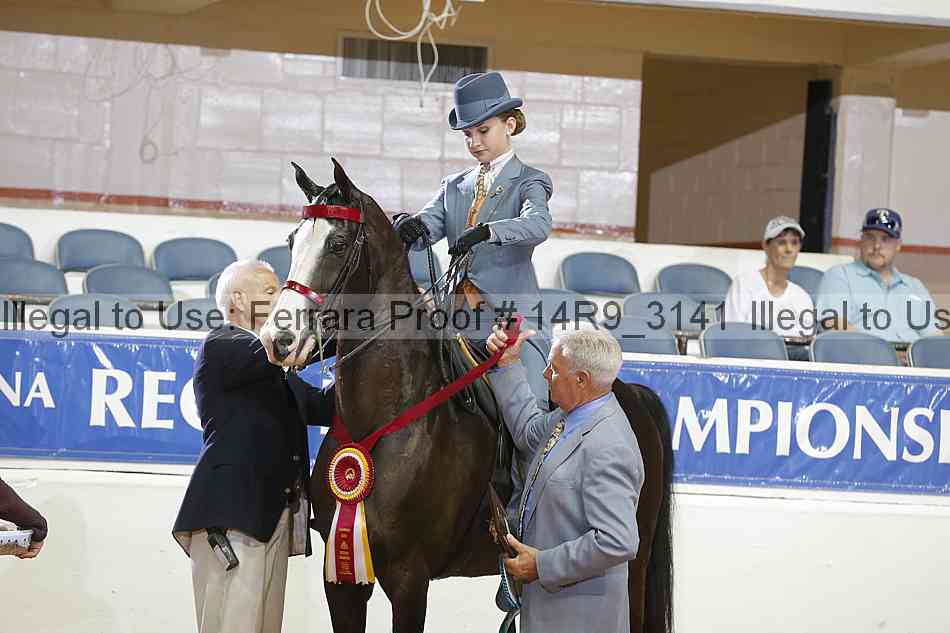Proof 14r9_3141