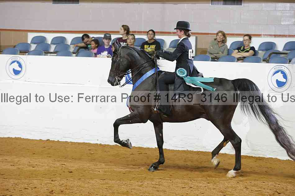 Proof 14r9_3146