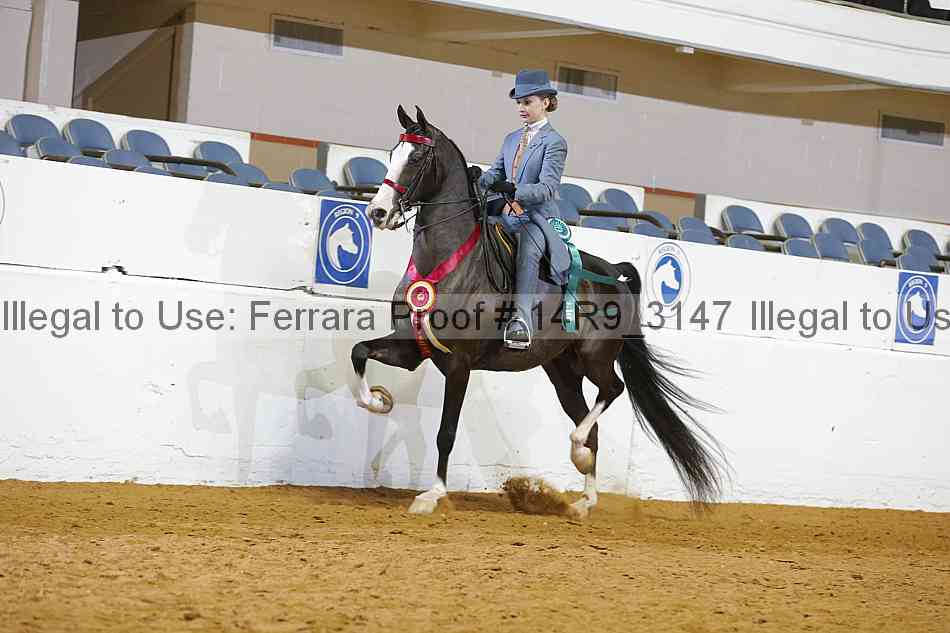 Proof 14r9_3147