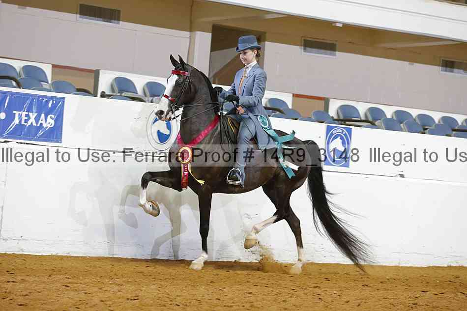 Proof 14r9_3148