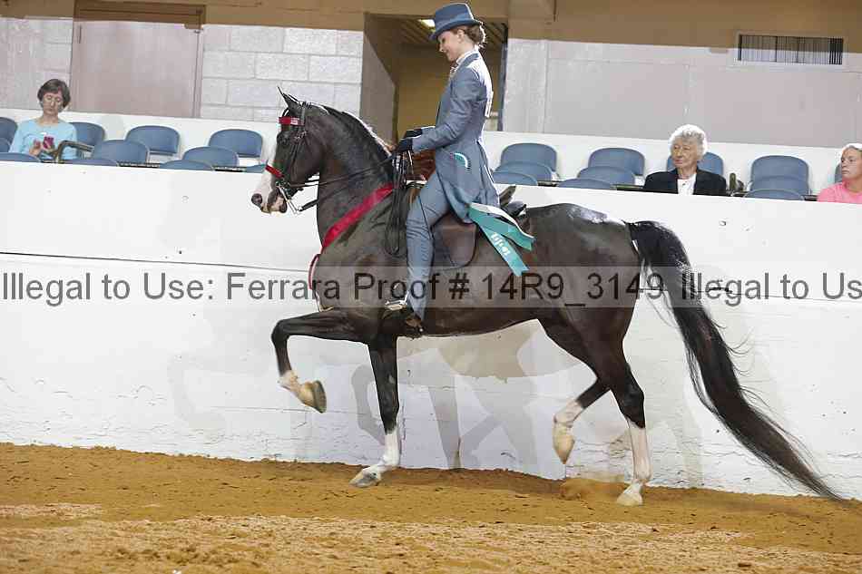 Proof 14r9_3149