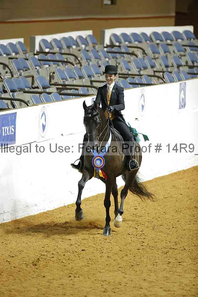 Proof 14r9_3153
