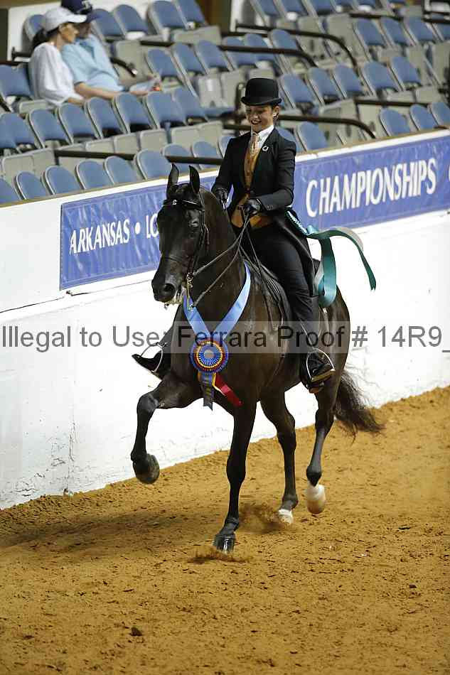 Proof 14r9_3154