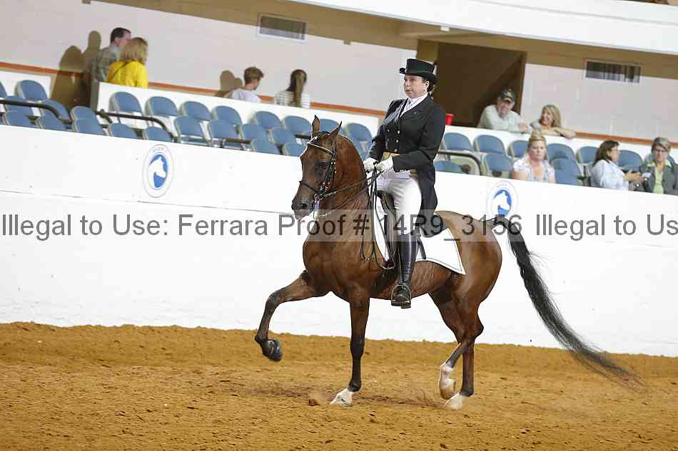 Proof 14r9_3156