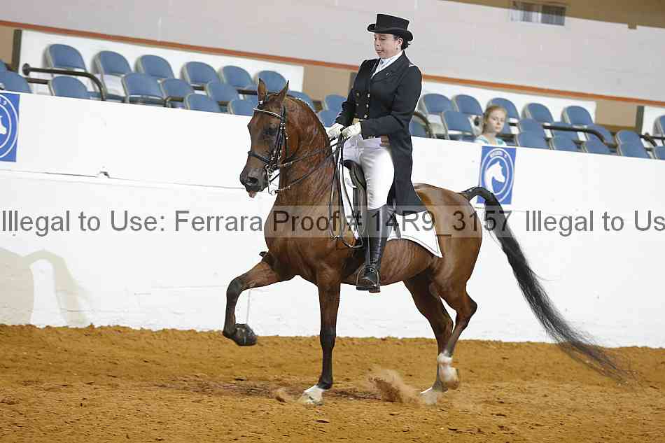 Proof 14r9_3157