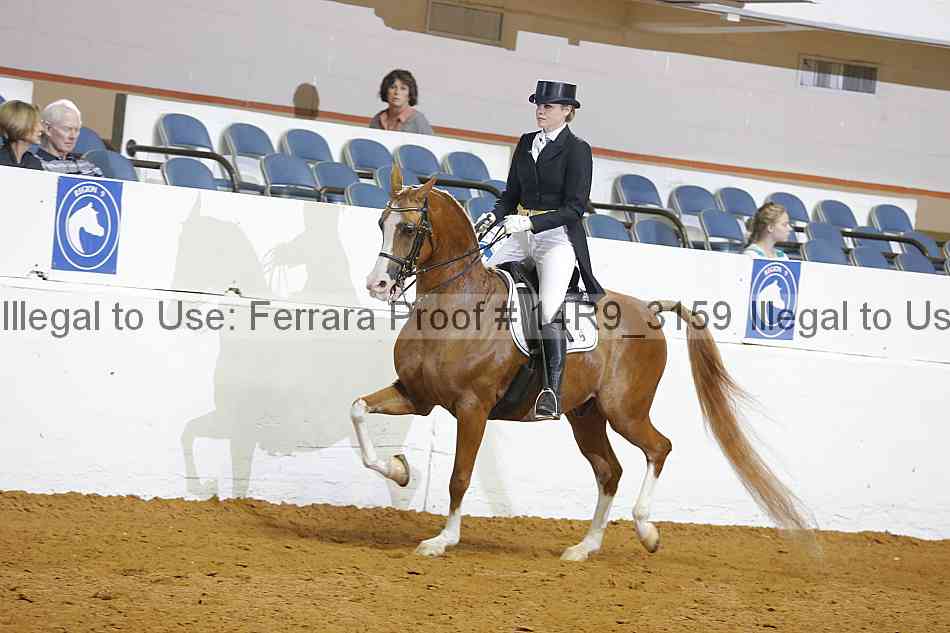Proof 14r9_3159