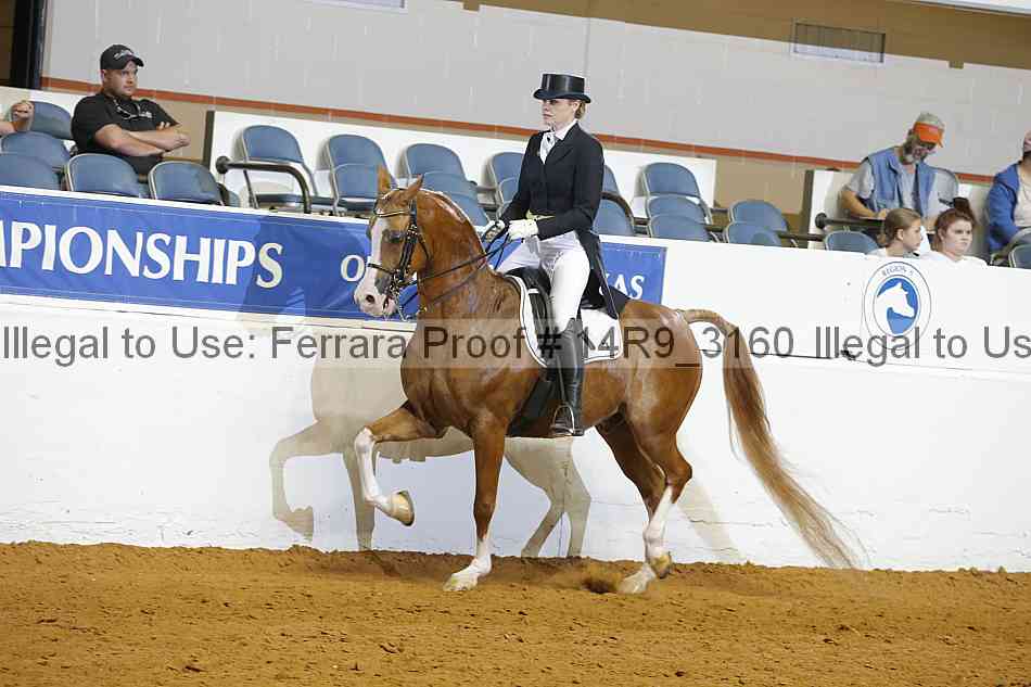Proof 14r9_3160
