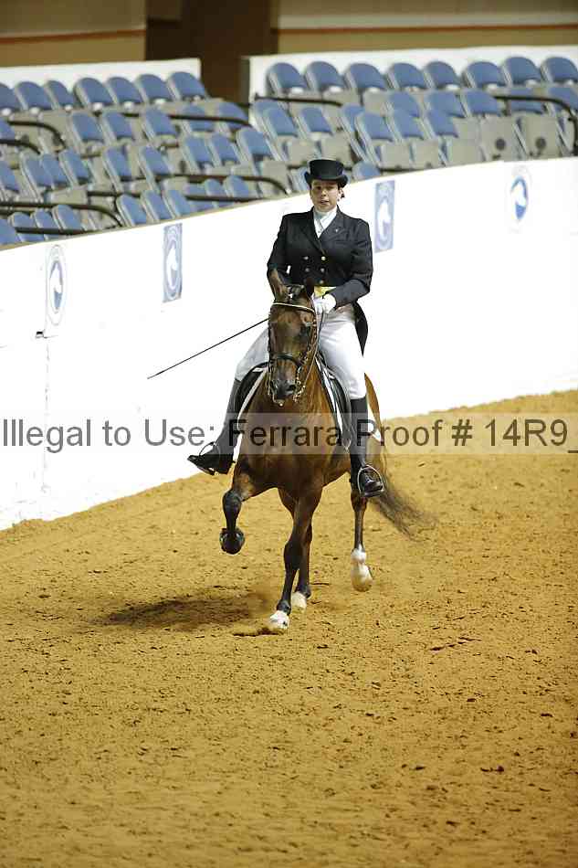 Proof 14r9_3161