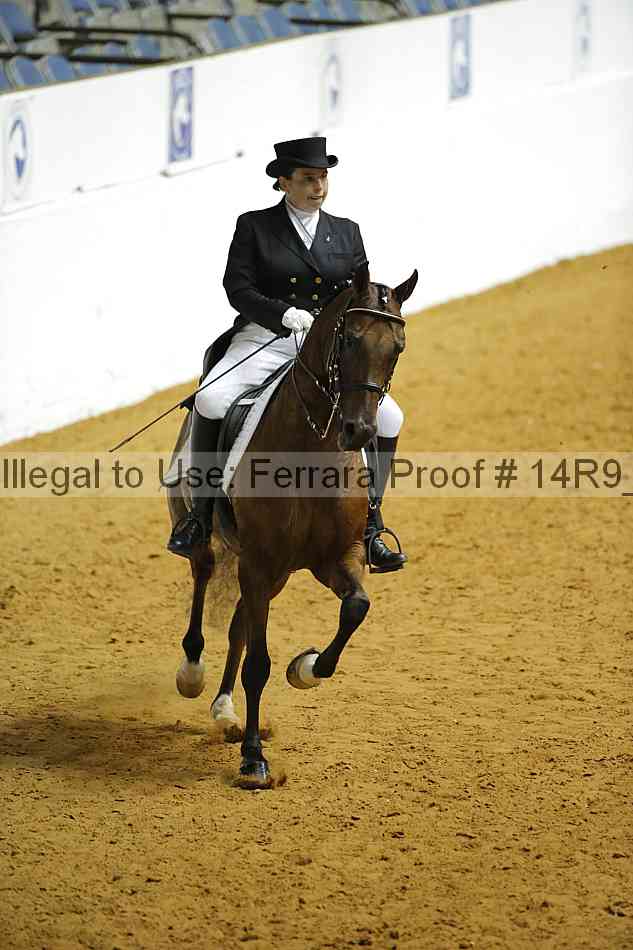 Proof 14r9_3163