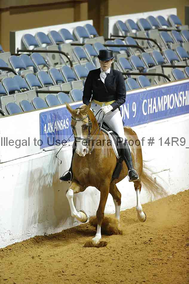 Proof 14r9_3167