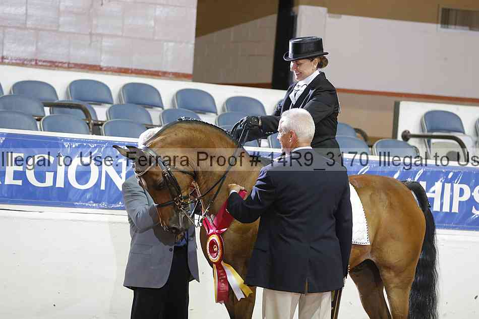 Proof 14r9_3170