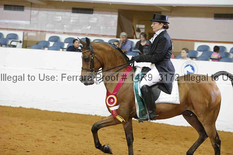 Proof 14r9_3172