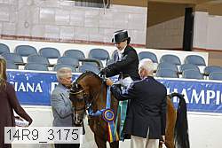 14r9_3175 proof
