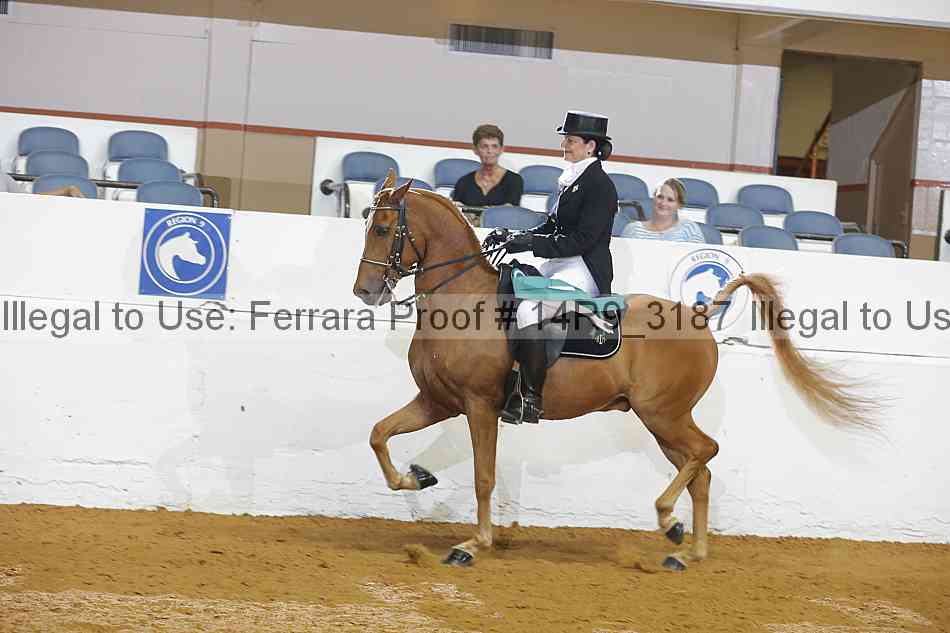 Proof 14r9_3187