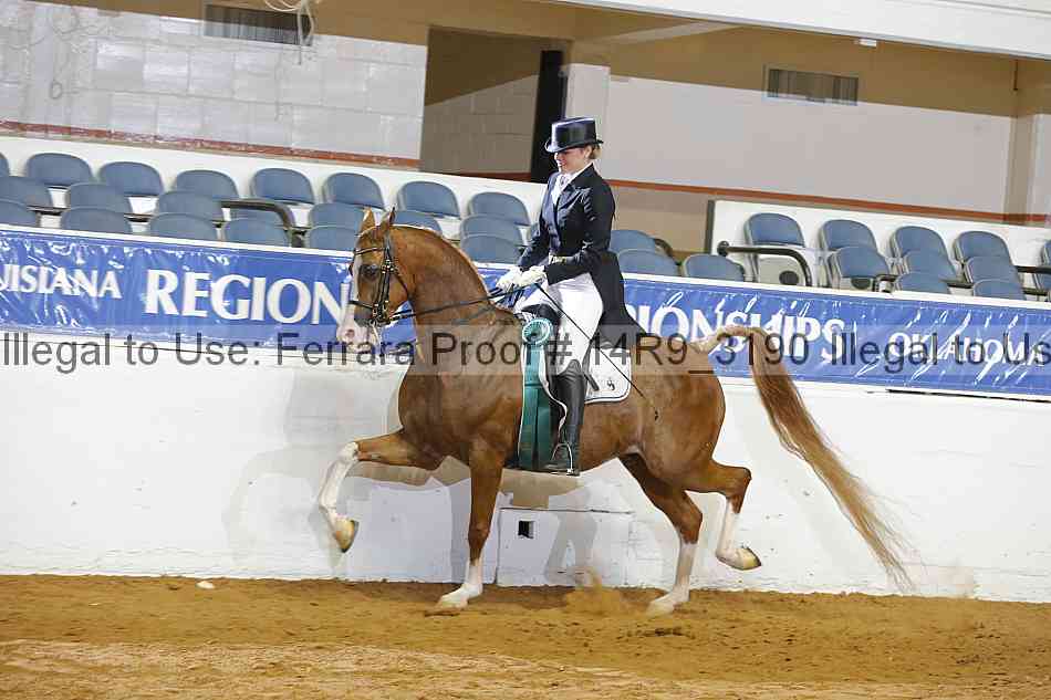 Proof 14r9_3190
