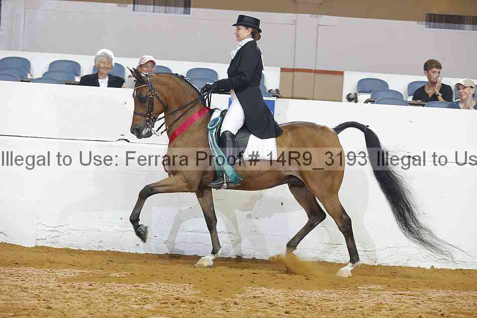 Proof 14r9_3193