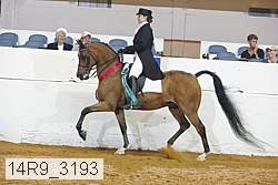 14r9_3193 proof