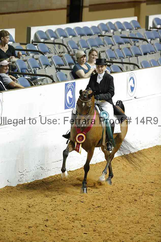 Proof 14r9_3195