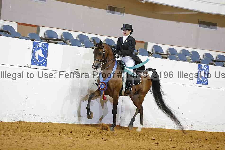 Proof 14r9_3196