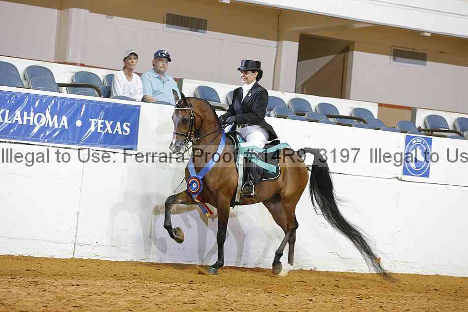Proof 14r9_3197