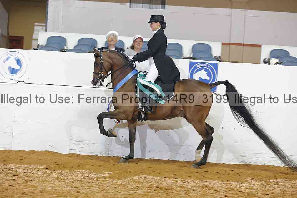 Proof 14r9_3199