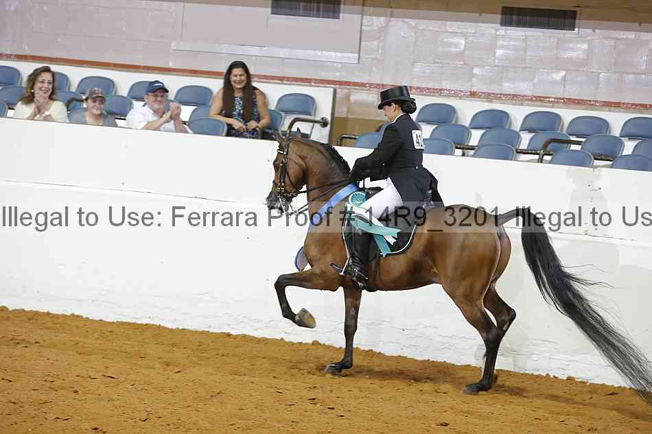 Proof 14r9_3201