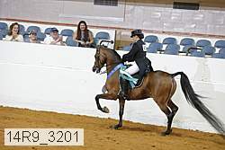 14r9_3201 proof