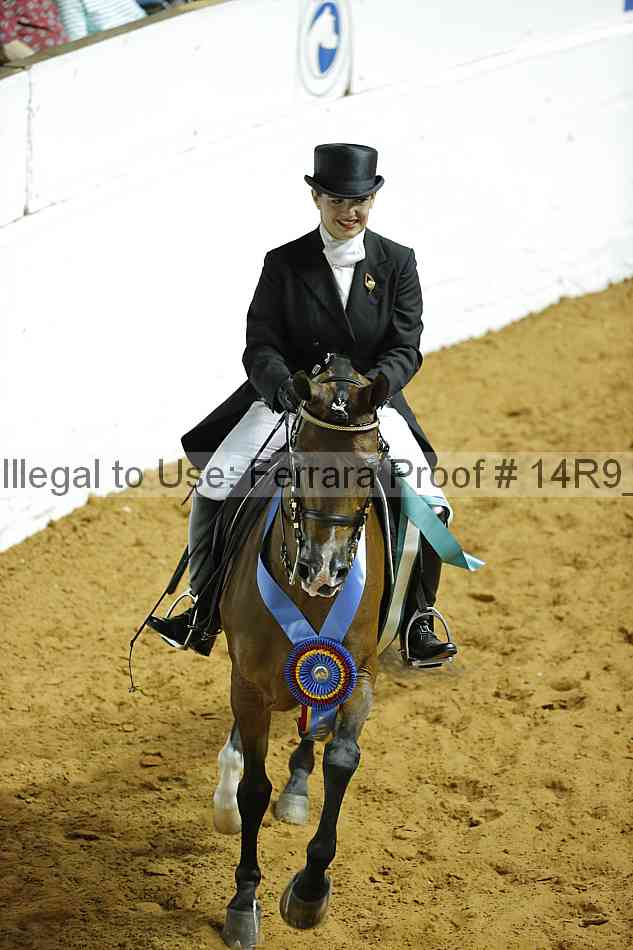 Proof 14r9_3203