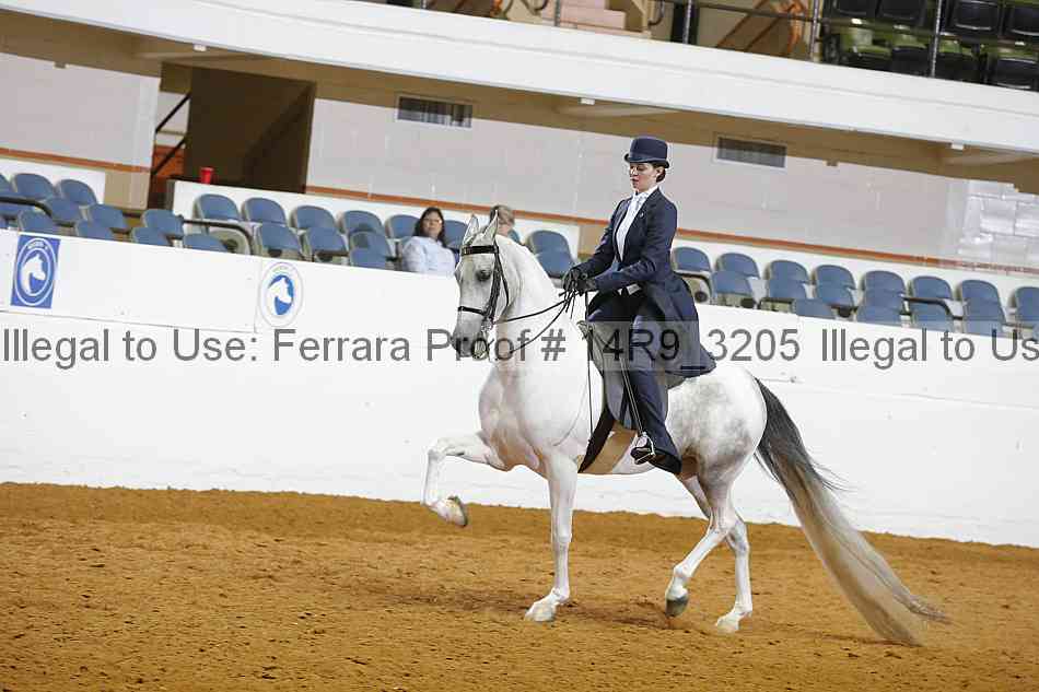 Proof 14r9_3205