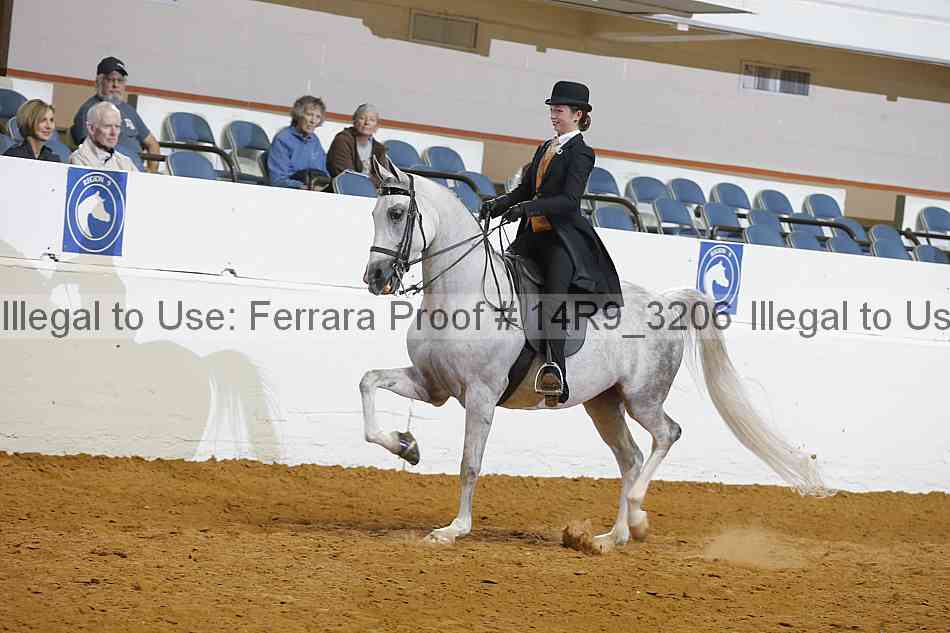 Proof 14r9_3206