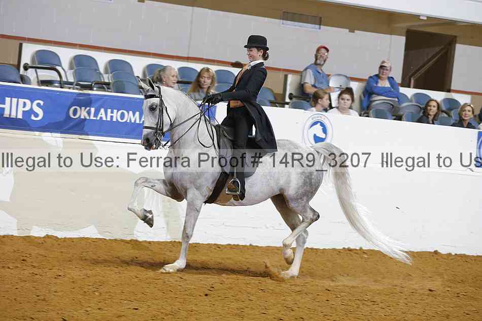 Proof 14r9_3207