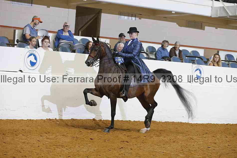 Proof 14r9_3208