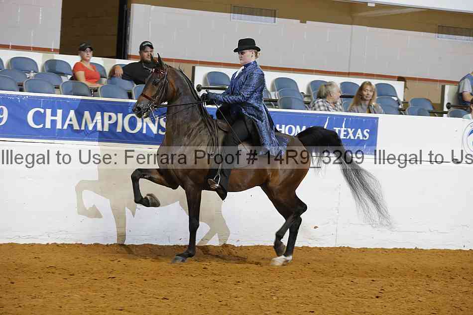 Proof 14r9_3209