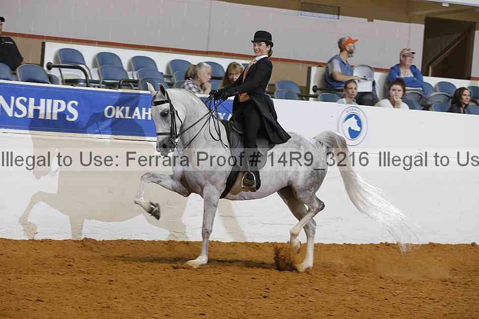 Proof 14r9_3216