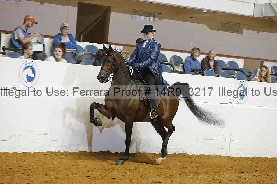 Proof 14r9_3217