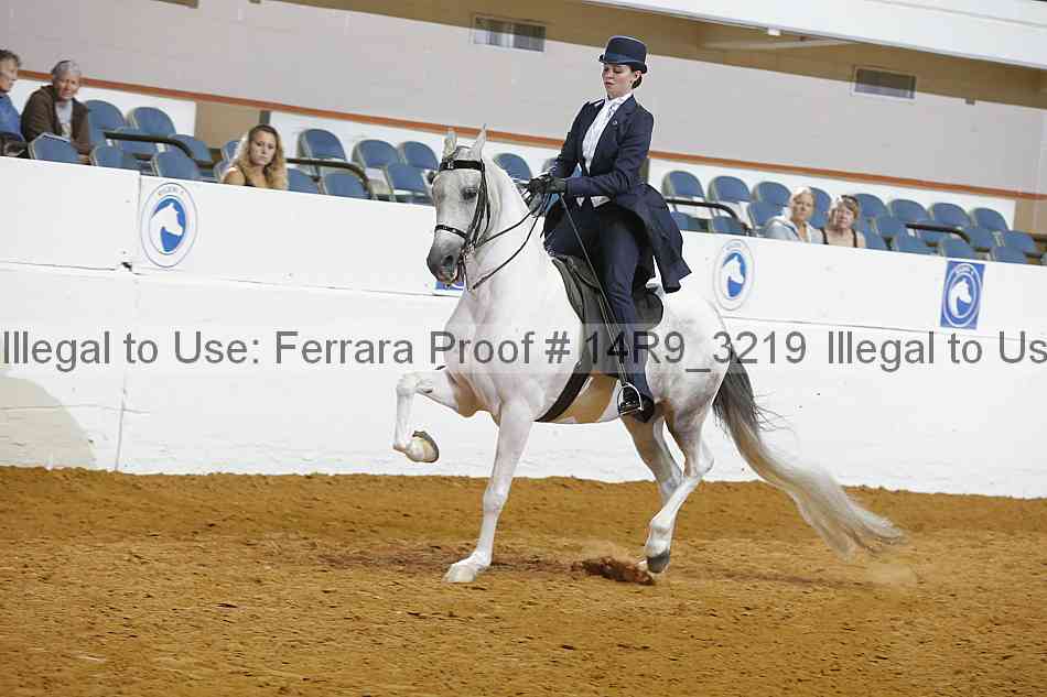 Proof 14r9_3219