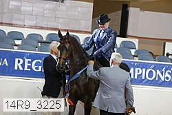 14r9_3225 proof