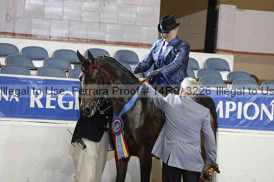 Proof 14r9_3226