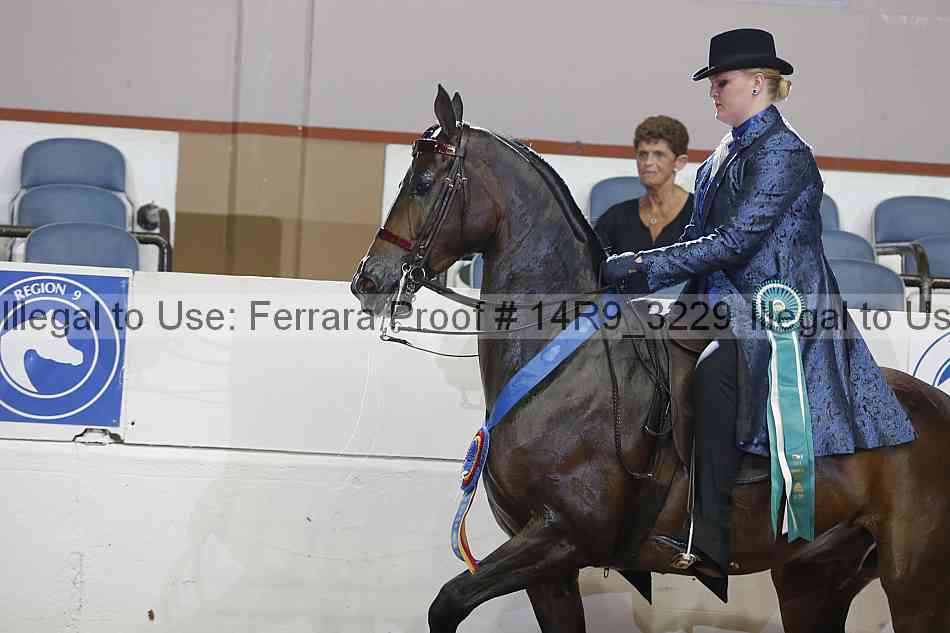 Proof 14r9_3229